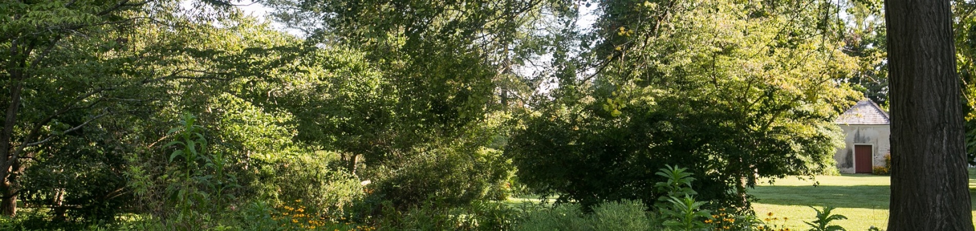gardens